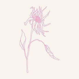 Romantische botanische Zeichnung in Neonpink auf Weiß Nr. 2 von Dina Dankers