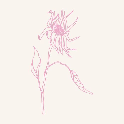 Romantische botanische tekening in neonroze op wit nr. 2