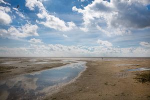 Het wad bij Terschelling