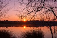 Zonsopkomst aan het water achter het riet en takken van een boom