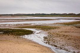 Naturschutzgebiet De Slufter auf der Insel Texel von Rob Boon
