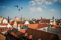 Bratislava - Altstadt / Dachlandschaft von Alexander Voss Miniaturansicht