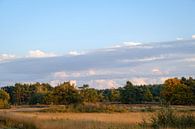 Ven van De Teut by Johan Vanbockryck thumbnail