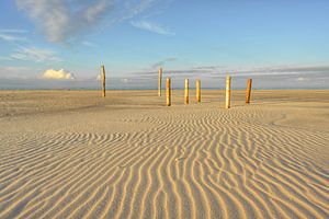 Holzpfähle auf dem Kniepsand auf Amrum