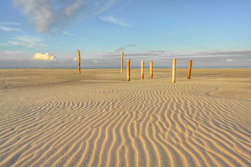 Holzpfähle auf dem Kniepsand auf Amrum von Michael Valjak