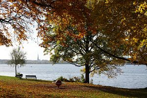 Außenalster, Alster, Herbst, Hamburg