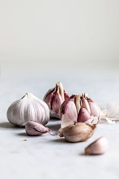 Knoflook