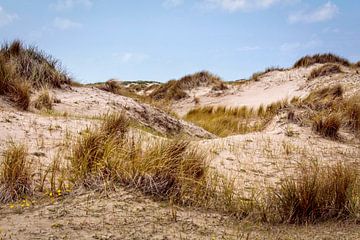Zone de dunes De Horsen Texel sur Rob Boon