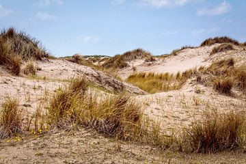 Dünengebiet De Horsen Texel von Rob Boon