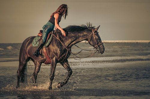 Meisje en paard
