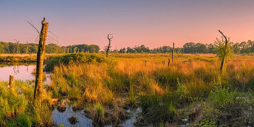 Panorama van een ochtend in Appelbergen, Drenthe
