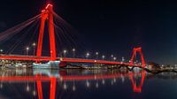 Reds in the night by Robert Stienstra thumbnail