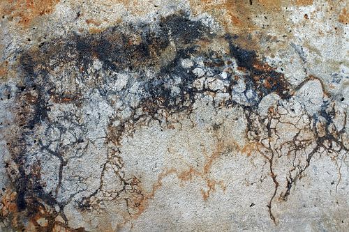 Roest von Wies Steenaard