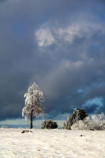 Sad in the snow by Bianca Beekmans