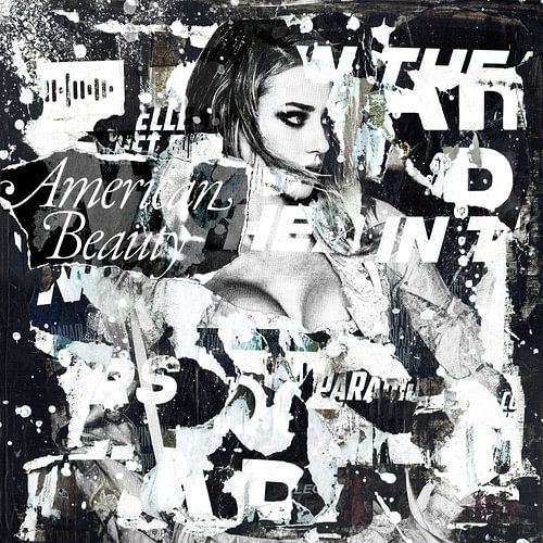 American Beauty by Feike Kloostra