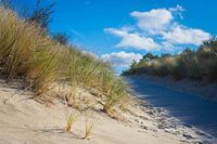 Duinen