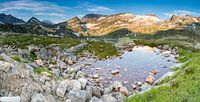 Oostenrijkse Alpen - 3 van Damien Franscoise thumbnail