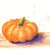 Oranger Kürbis Aquarellstudie von Karen Kaspar