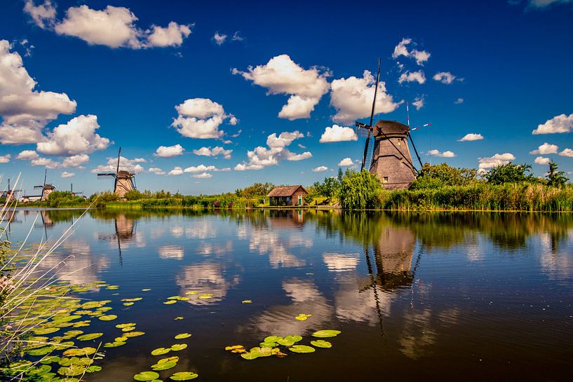 Kinderdijk van Dennis Wardenburg