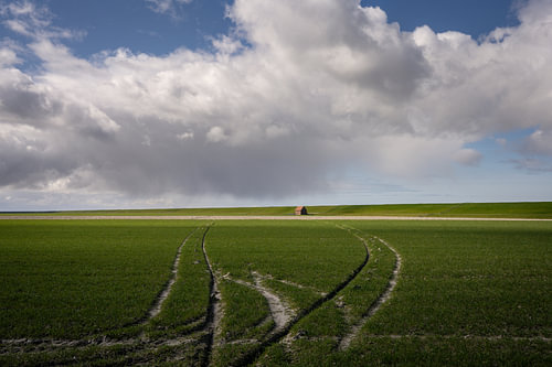 Spuren auf einem Acker im Noordpolder bei Westernieland