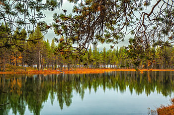 Spiegelnder Herbstwald am See in Schweden