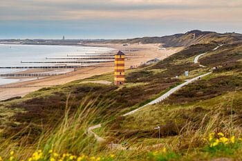 In den Dünen von Dishoek