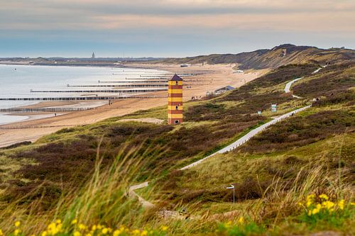 In de duinen van Dishoek