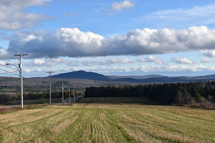 A field in autumn after harvest by Claude Laprise