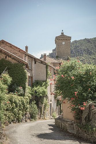 Frankreich - Gorges du Tarn - charakteristisches Dorf von Marjolein de Boer