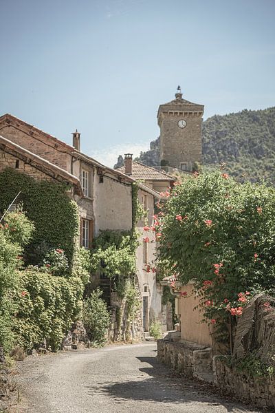 Frankreich - Gorges du Tarn - charakteristisches Dorf von Marjolein de Boer