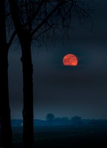 Moon Mystery sur Rop Oudkerk