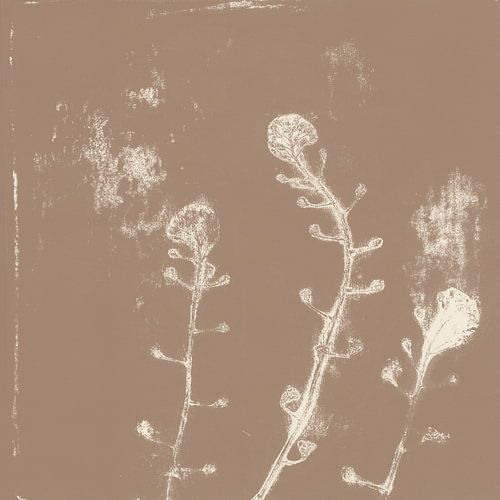 Drie bloemen. Japandi botanische kunst in bruin en wit.