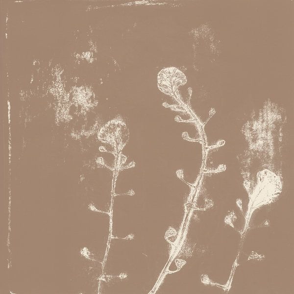 Three flowers. Japandi botanical art in brown and white. by Dina Dankers