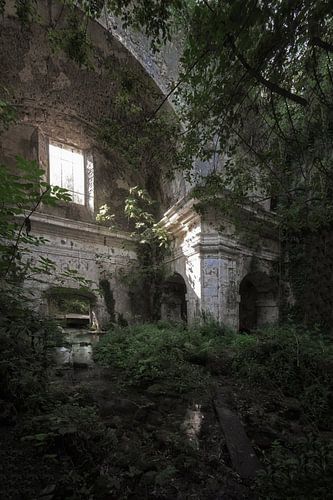 Kerk Nature Takes Over 5