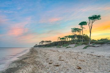 Zonsopgang op het westelijke strand van Darß