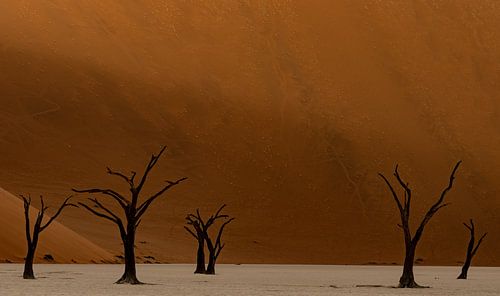 Deadvlei Namibia von Louis Obbens