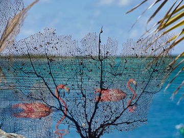 Flamingos bij Lac Cai van Machiel Zwarts