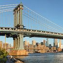 Skyline von Manhattan und  Manhattan Bridge, New York, USA von Markus Lange Miniaturansicht