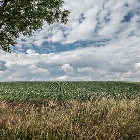Landwirtschaftliche Landschaft in Herstappe (B) von Martine Dignef