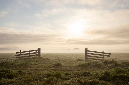 Panoramic view of the misty countryside of Midden-Delfland