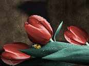 Lieveheersbeestje op tulpen van Harald Fischer thumbnail