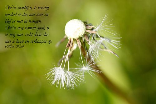 Wat voorbij is is voorbij, oordeel niet