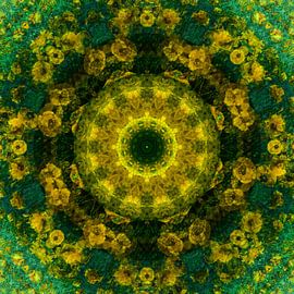 Erwartung von christine b-b müller