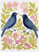 Harmony Birds