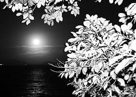 Nachten 2 van Rafael Campezato