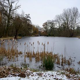 Winterlandschaft Rivierenhof Deurne, zugefrorener Teich. von Kristof Leffelaer