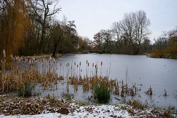 Winterlandschaft Rivierenhof Deurne, zugefrorener Teich. von Kristof Leffelaer
