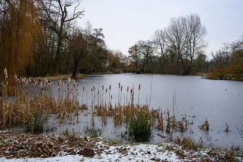 Winterlandschap Rivierenhof Deurne, bevroren vijver.