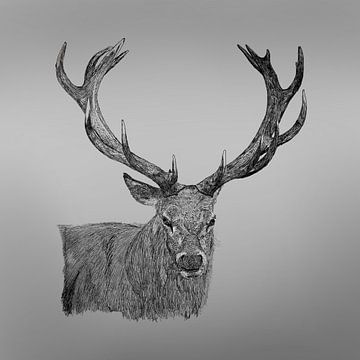 Deer made with ink by DigitalArtForYou