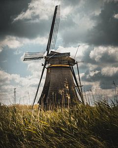Standing in the Wind – Kinderdijk